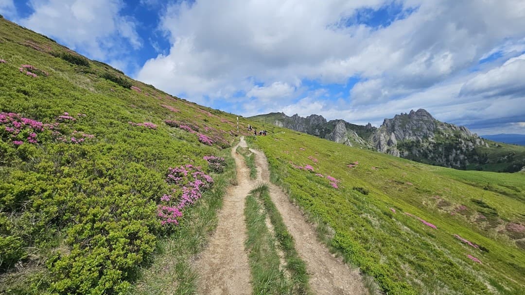 Mountain path through green hills, pink flowers, and rocky peaks.
