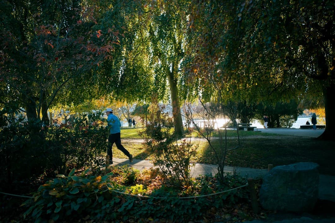 Man walking through a sunlit park with trees