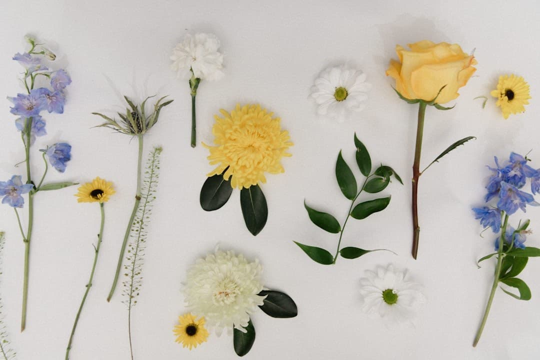 A beautiful assortment of colorful flowers.